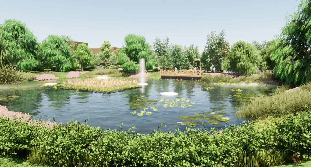 Środowisko, Mały Blankusz wycinka drzew Urząd dementuje informacje - zdjęcie, fotografia