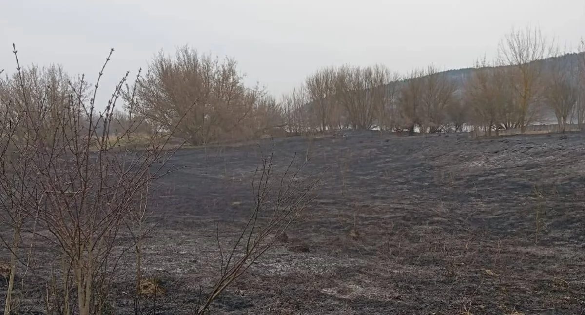 Pożar, Duży pożar Służby apelują - zdjęcie, fotografia
