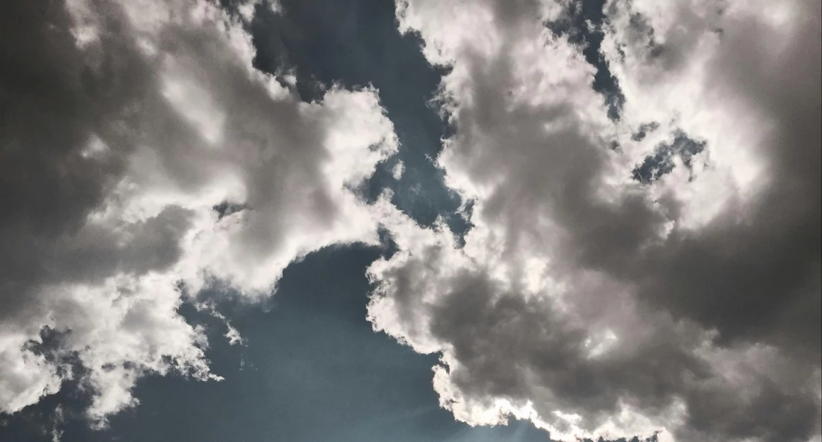 Komunikaty, ALERT powiatu świeckiego Silniej powieje - zdjęcie, fotografia