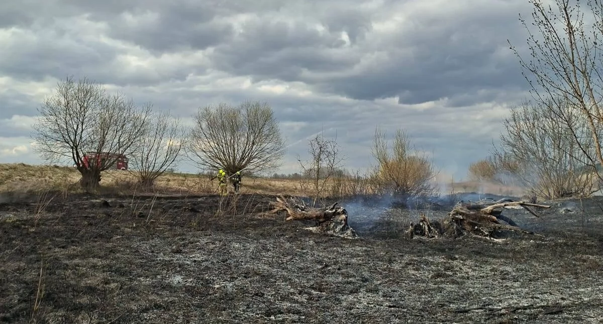 Pożar, Pożar terenie parku krajobrazowego Ostry strażaków - zdjęcie, fotografia