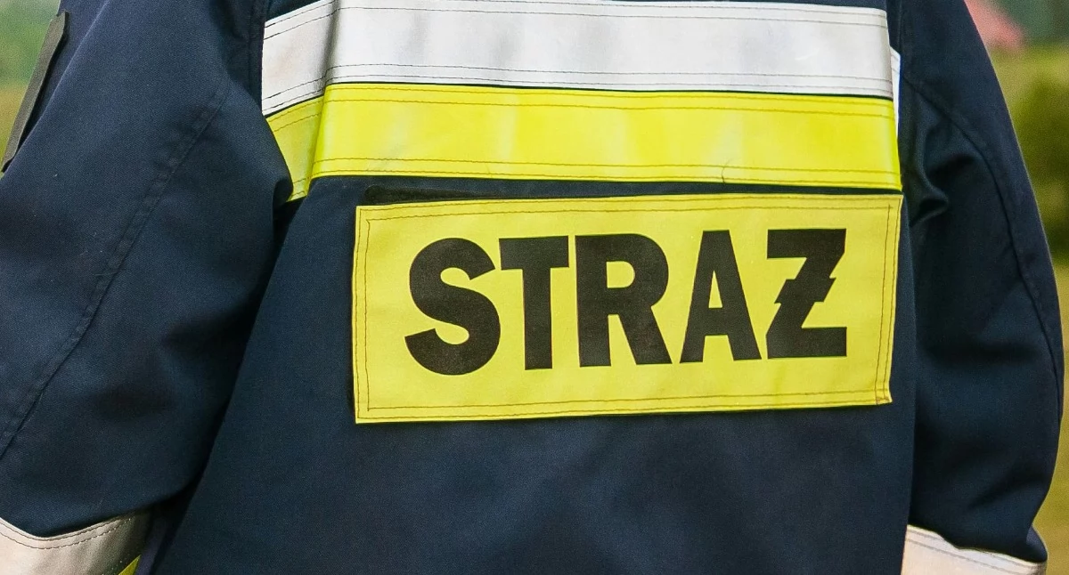 Pożar, Pożar miejscu pracowało dziewięć zastępów - zdjęcie, fotografia