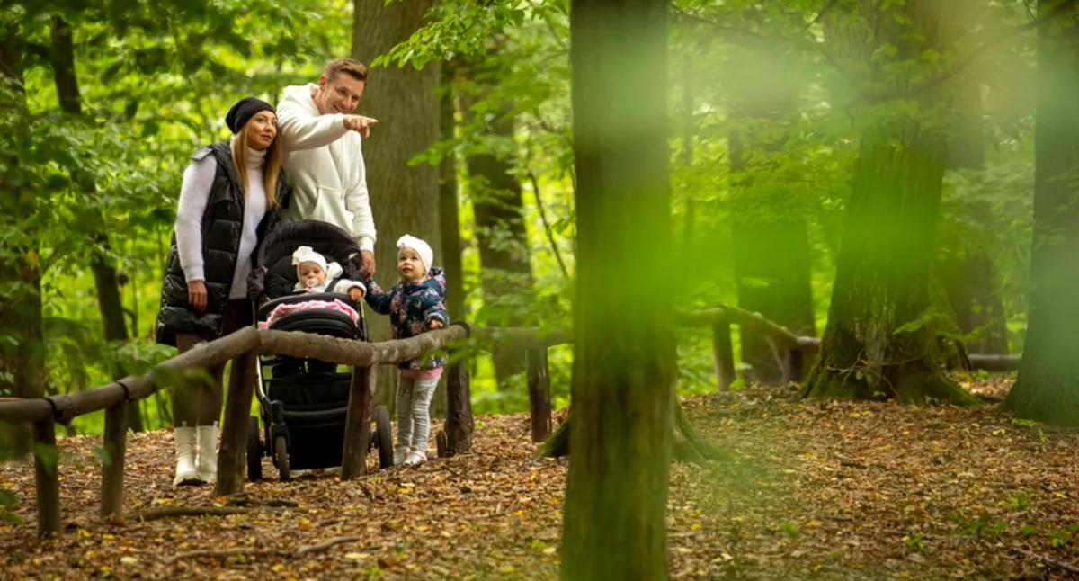 Środowisko, Planujesz majówkę lesie Sprawdź przygotować - zdjęcie, fotografia