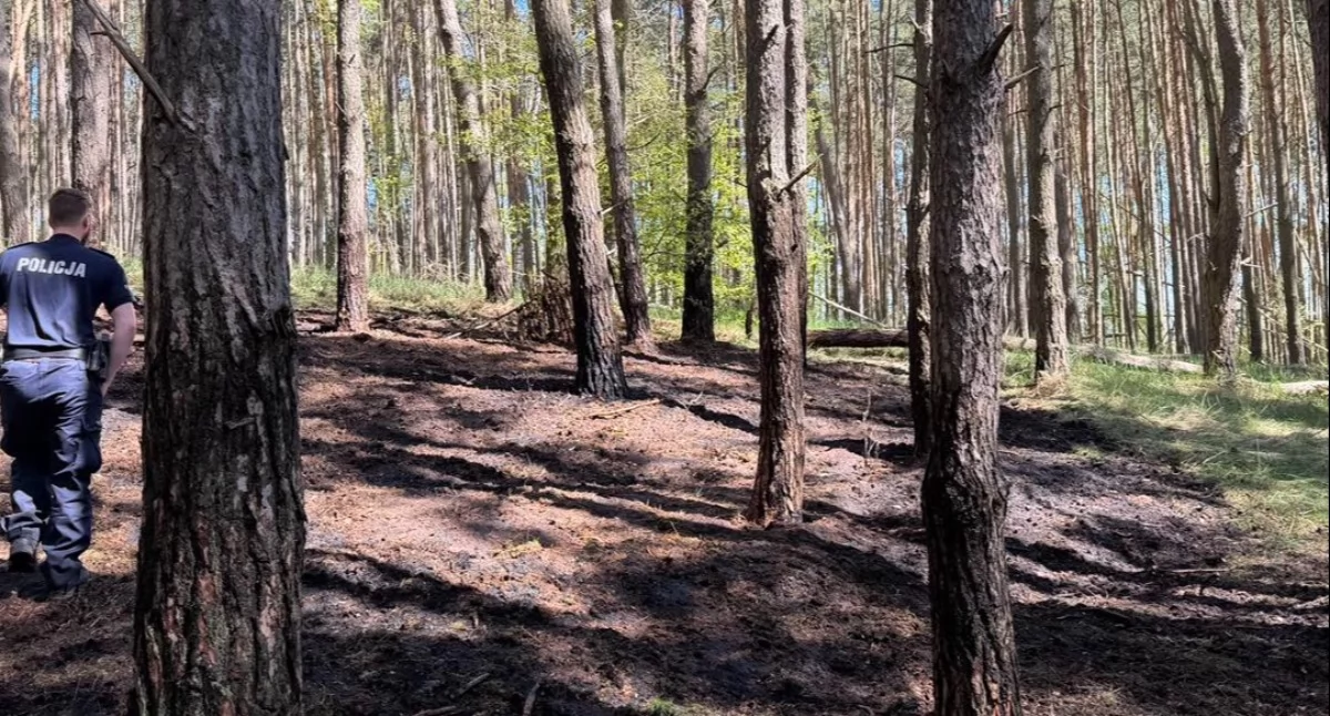 Pożar, Strażacy walczyli pożarami lasów ekstremalne ryzyko - zdjęcie, fotografia