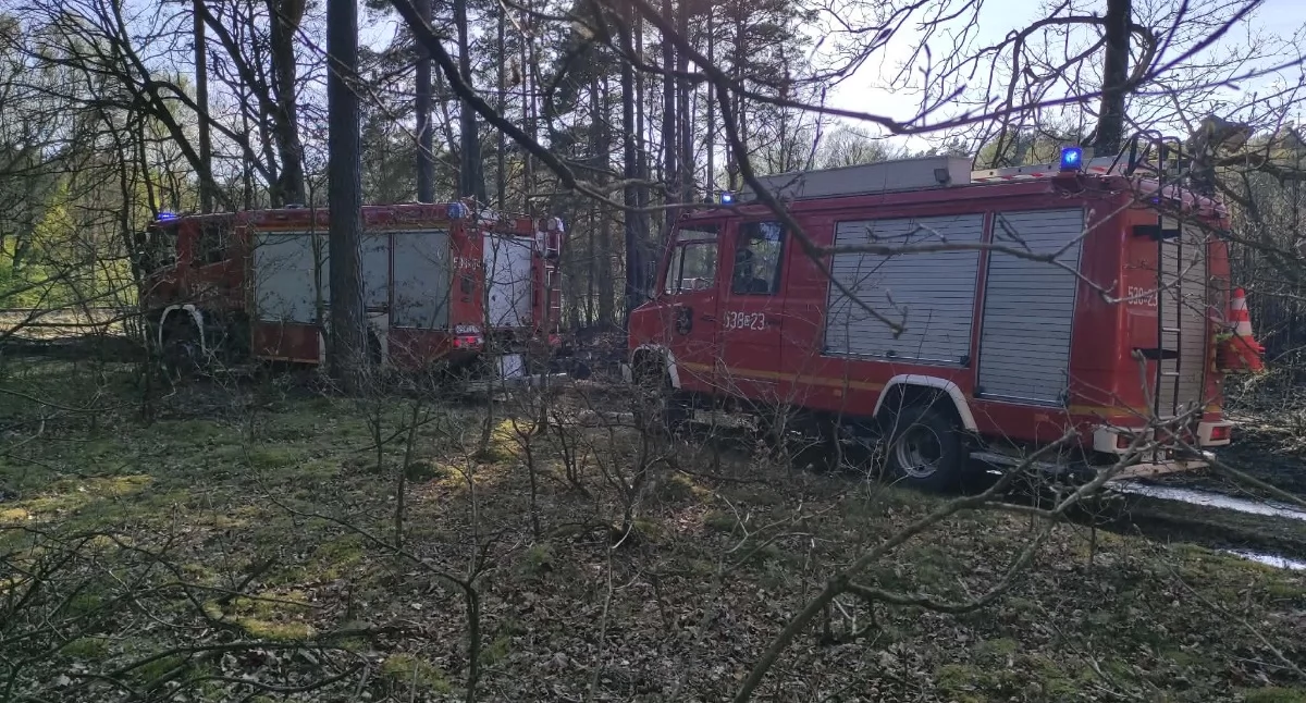 Pożar, Duży pożar akcji brał udział samolot gaśniczy - zdjęcie, fotografia