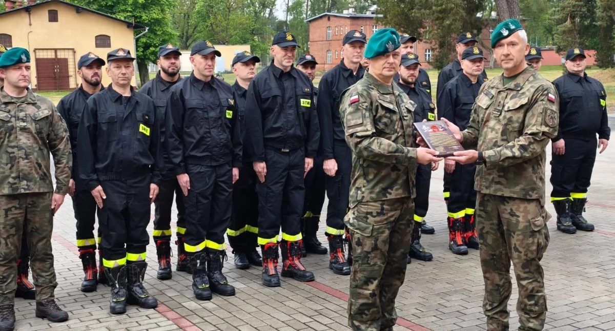 Akcja straży, Wojska Straż Pożarna Grupie włączona systemu ważny moment - zdjęcie, fotografia