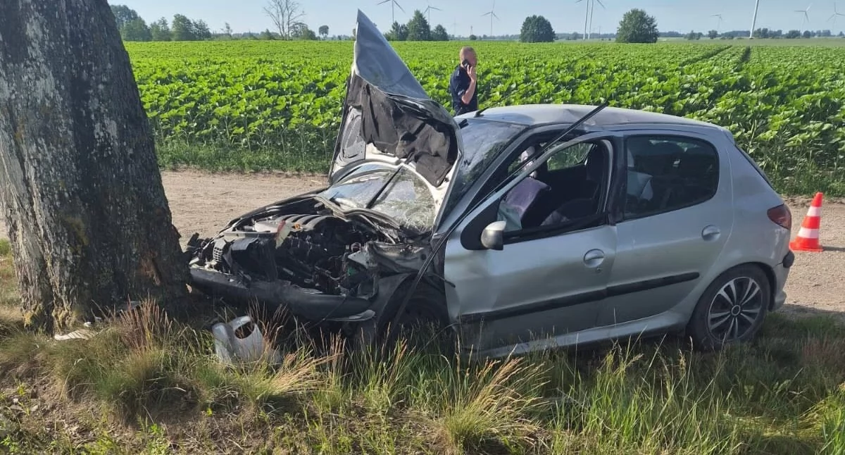 Wypadek drogowy, Wypadek powiecie świeckim Samochód uderzył drzewo - zdjęcie, fotografia