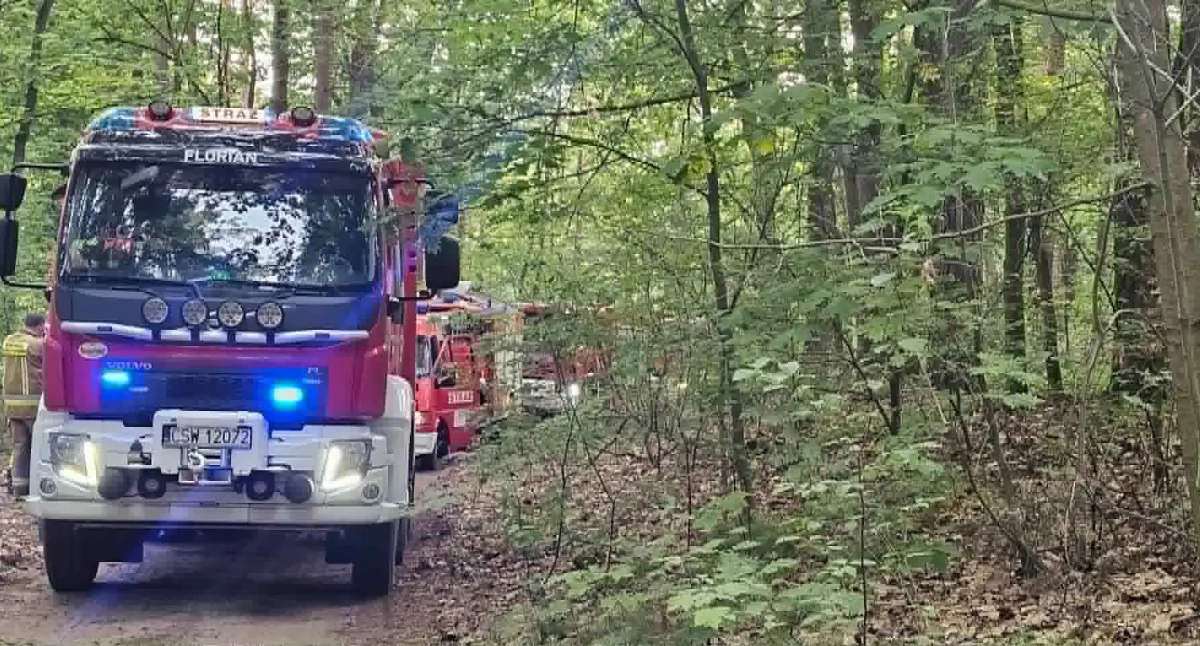 Pożar, Pożar powiecie świeckim miejscu pracowali strażacy kilku - zdjęcie, fotografia