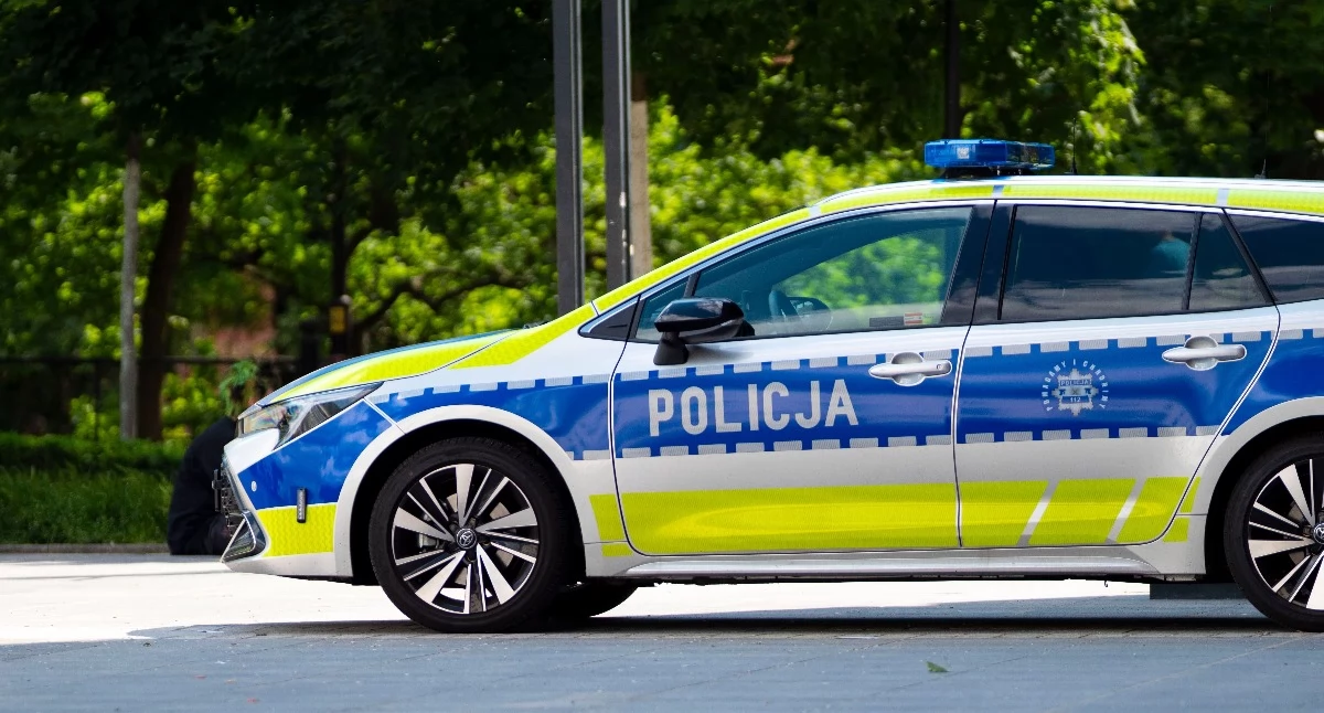 Piraci drogowi, Nietrzeźwi zakazami Policjanci wyeliminowali dróg powiatu świeckiego nieodpowiedzialnych kierowców - zdjęcie, fotografia