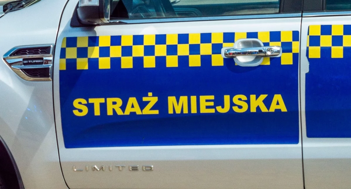 Interwencja, Bezpieczeństwo placach zabaw Świeciu Zwiększono patrole piesze Straży Miejskiej - zdjęcie, fotografia