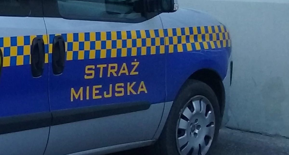 Interwencja, Straż Miejska Świeciu powinna zostać zlikwidowana Weźcie udział naszej sondzie - zdjęcie, fotografia