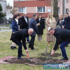 zdjęcie nr 8