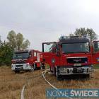 Fotka nr 2 z 7