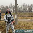 Fotka nr 3 z 36
