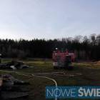Fotka nr 5 z 11