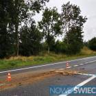 Fotka nr 2 z 4