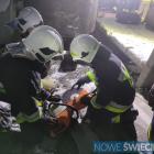 Fotka nr 4 z 23