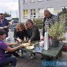 zdjęcie nr 31