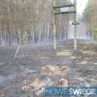 Fotka nr 2 z 10