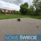 Fotka nr 0 z 2