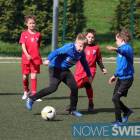 zdjęcie nr 12
