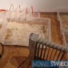 Fotka nr 3 z 15
