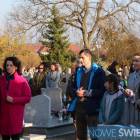 zdjęcie nr 12