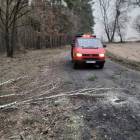 Fotka nr 1 z 14