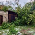 zdjęcie nr 8