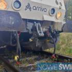 Fotka nr 1 z 11
