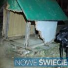 Fotka nr 0 z 7
