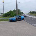 Fotka nr 5 z 8