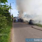 Fotka nr 1 z 2