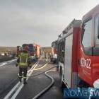 zdjęcie nr 12