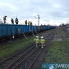 Fotka nr 1 z 7