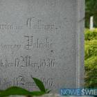 zdjęcie nr 10