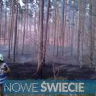 Fotka nr 0 z 2