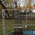 Fotka nr 1 z 7