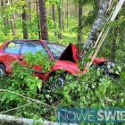 Fotka nr 2 z 4
