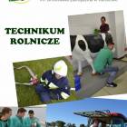 zdjęcie nr 13