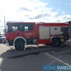 Fotka nr 5 z 22