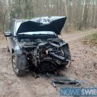 Fotka nr 2 z 3