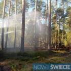 zdjęcie nr 10