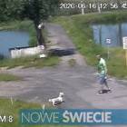zdjęcie nr 7