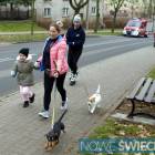 zdjęcie nr 19