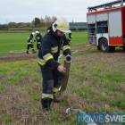 Fotka nr 2 z 20