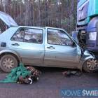 Fotka nr 1 z 4