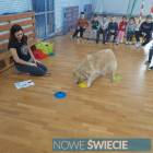 zdjęcie nr 12