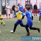 Fotka nr 2 z 31