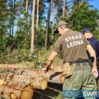Fotka nr 2 z 12