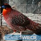 Fotka nr 3 z 8